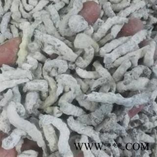 僵蚕 02统 四川产僵蚕统货图3