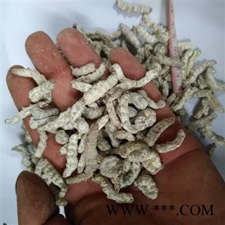 僵蚕 02统 四川产僵蚕统货图2