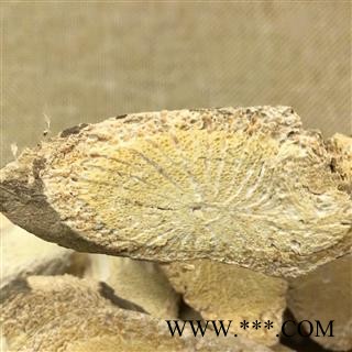 防己 木防己 产地 广西壮族自治区图4