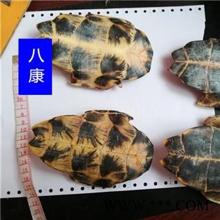 旱龟板 河龟板 01个 统图3