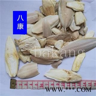 海螵蛸 01小个图1