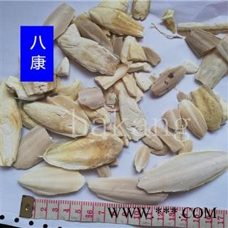 海螵蛸 01小个图2