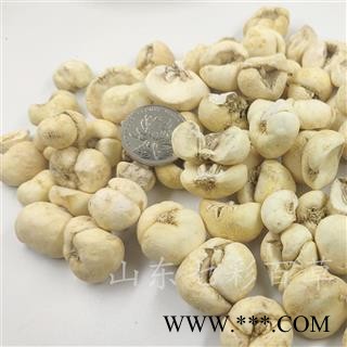 浙贝母 选大个 新店上线 为冲销量 低价售 货好价优图3