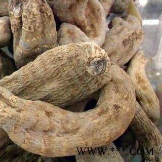 天麻 家种中个天麻 产地 云南省图3