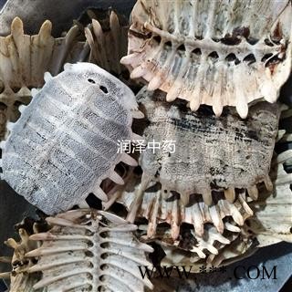 【鳖甲】【润泽中药】中药材批发供应 规格齐全 量大从优图2