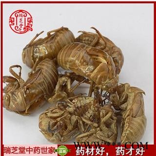 蝉蜕净货 蝉蜕批发瑞芝堂中药行产地直销规格齐全 一站购齐图3