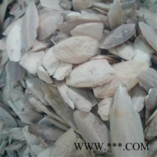 海螵蛸 海螵蛸小选货 产地 广西壮族自治区南宁市图2