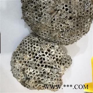 蜂房 软蜂房统货 产地 山东省图2