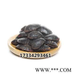 中药材 大土元虫 土鳖虫图4