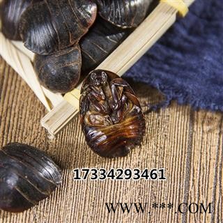 中药材 大土元虫 土鳖虫图3
