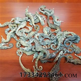 海马 1-2g 清水足干图2