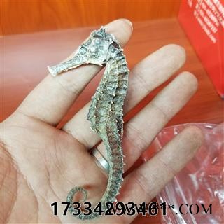 海马 1-2g 清水足干图3