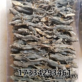 壁虎 国产壁虎统个 天龙 守宫 爬壁虎 爬墙虎 四脚蛇图3