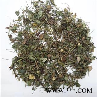 【冷偏奇】蛇莓 高品质好货 蛇泡草 龙吐珠 三爪风 鼻血果果 珠爪 鸡冠果1Kg图3