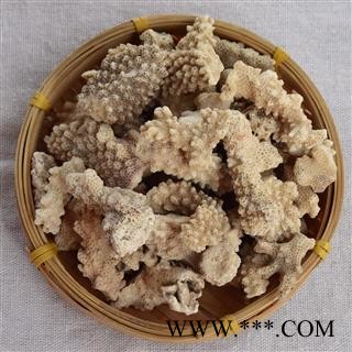 九盛堂中药材 白珊瑚 珊瑚图2