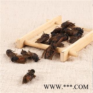 九盛堂中药材 牛虻虫 牤虫 忙虫 牛蚊子 牛苍蝇图3