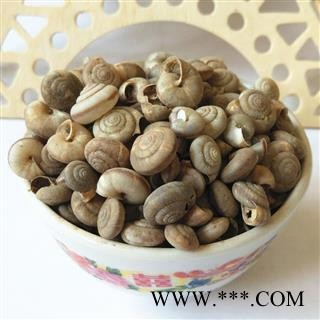 九盛堂中药材 蜗牛 蜗牛壳 白螺蛳壳 白螺蛳 旱蜗牛 瓜牛里牛图2