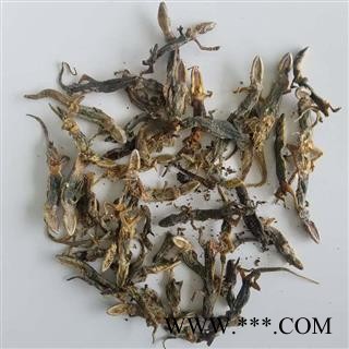 诺源中药材进口壁虎 守宫 四脚蛇图2