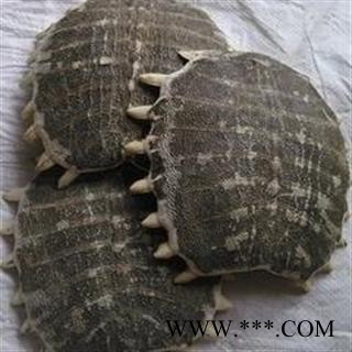 诺源药材行中药材鳖甲 生鳖甲 制鳖甲图2