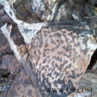 蟾皮 整张 干蟾 蟾衣 干蟾皮干蟾蜍 蟾蜍干 癞蛤蟆干 蟾皮 干蟾个图2