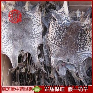 蟾皮统货 吉林蟾皮 蟾蜍皮药典正品 中药材 瑞芝堂产地直供1000克 规格齐全 一站购齐图3