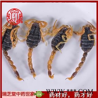 全蝎 山西陕西盐水全蝎秋货 药典正品 中药材 瑞芝堂产地直供1000克 规格齐全 一站购齐图2