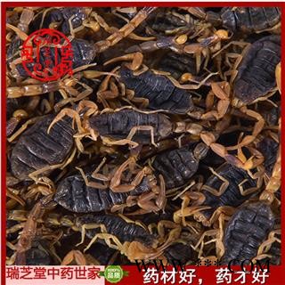 全蝎 山西陕西盐水全蝎秋货 药典正品 中药材 瑞芝堂产地直供1000克 规格齐全 一站购齐图4