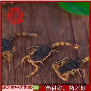 全蝎 山西陕西盐水全蝎秋货 药典正品 中药材 瑞芝堂产地直供1000克 规格齐全 一站购齐图3