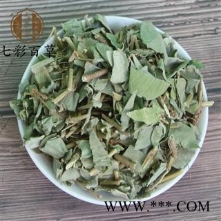 金钱草 大叶广金钱草 产地 广东省图2