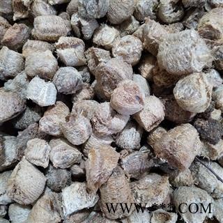 桑螵蛸 今年新货生桑螵蛸。二棉 产地 吉林省图3