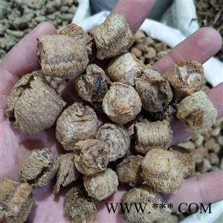 桑螵蛸 今年新货生桑螵蛸。二棉 产地 吉林省图2