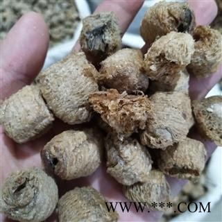 桑螵蛸 今年新货生桑螵蛸。二棉 产地 吉林省图4