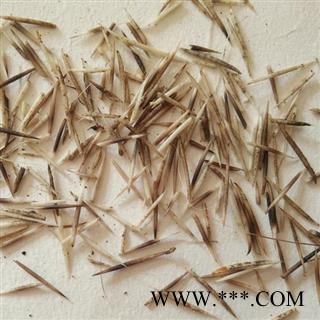 瑞森药材行刺猬针刺猬针产地货源图2