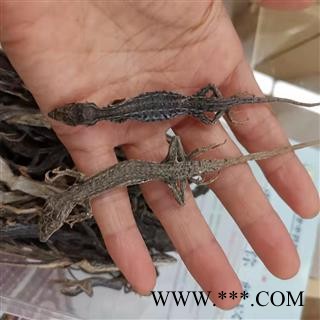 瑞森药材行 中药材麻蜥蜴 蜥蜴 沙蜥蜴图4