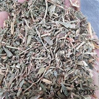 萹蓄 萹蓄选段 产地 山东省图3