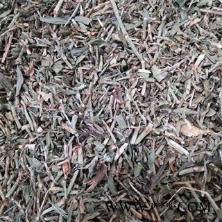 萹蓄 萹蓄选段 产地 山东省图2