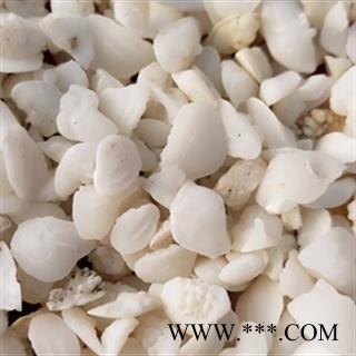 新辉药业鱼脑石 优质统货图3