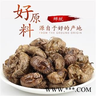 蝉蜕 蝉蜕净货 产地 江苏省  水洗图2