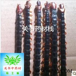 蜈蚣 蜈蚣大条精选货16-17cm 产地 湖北省襄阳市图2