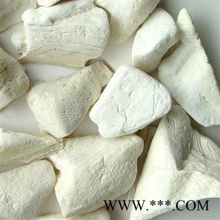 海螵蛸 海螵蛸 15厘米左右大个 关书药业 产地 广东省珠海市市辖区图3