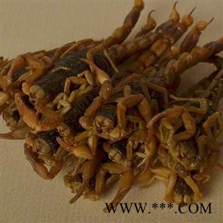 全蝎 山西陕西盐水全蝎秋货 产地 山西省太原市图2