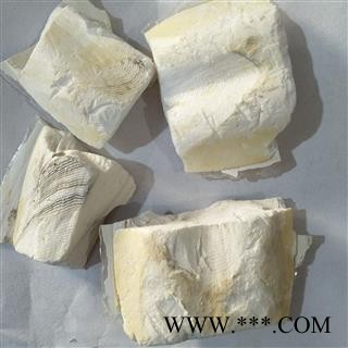 海螵蛸 海螵蛸大统块 产地 山东省图2