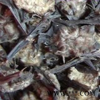 圣草康园药用蝙蝠 天鼠、挂鼠、天蝠、老鼠皮翼、飞鼠 产地河南图2