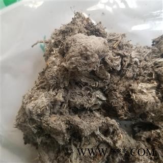 中药材 壁钱 壁钱幕 壁钱茧图2