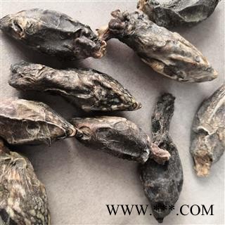 诺源药材行中药材鳖首 鳖头图3