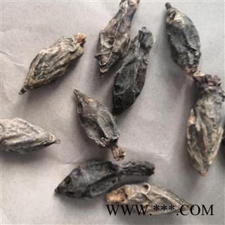 诺源药材行中药材鳖首 鳖头图2