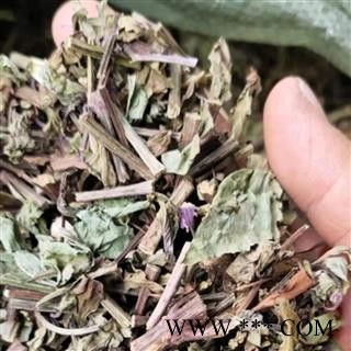 猫须草 猫须草统段 产地 云南省图2