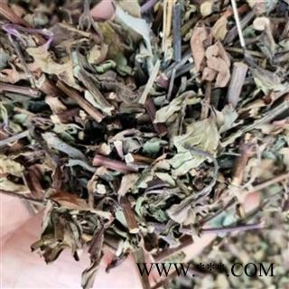 猫须草 猫须草统段 产地 云南省图4