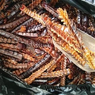 新辉药业中药材蜈蚣 各种昆虫珍稀图2
