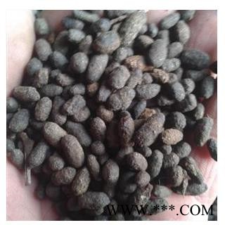 五灵脂 正品 统 产地 山西省五灵芝米，王灵脂，糖苓脂，伍灵脂，糖灵脂快图2